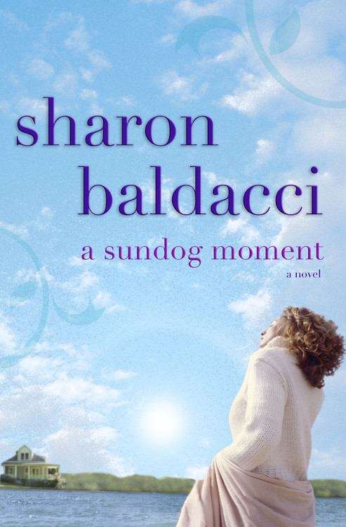 Book cover of A Sundog Moment