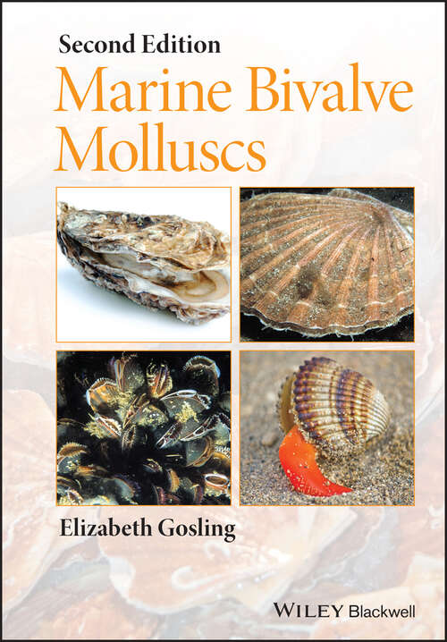 Book cover of Marine Bivalve Molluscs