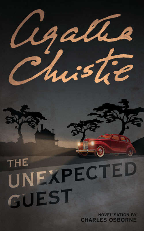 Book cover of Unexpected Guest
