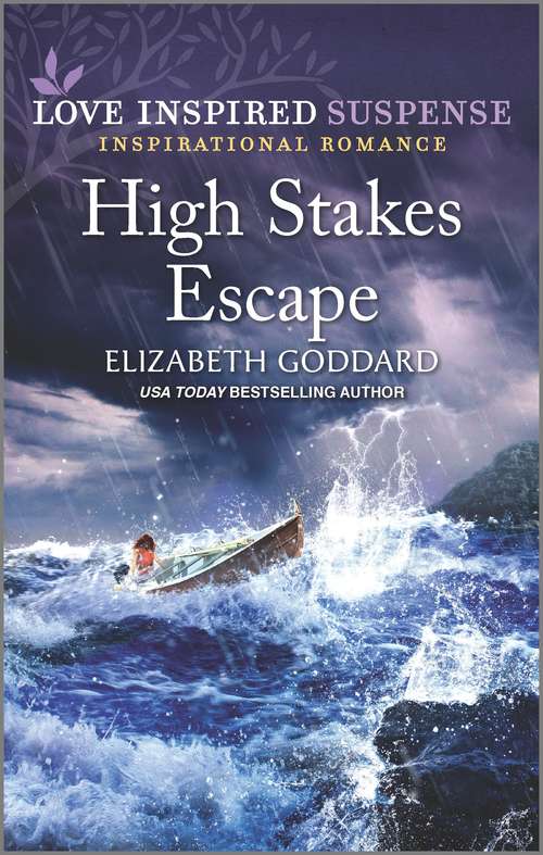High Stakes Escape (Mount Shasta Secrets #4)