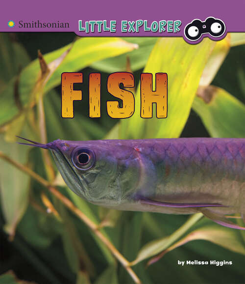Book cover of Fish (A\place For... Ser. #4)