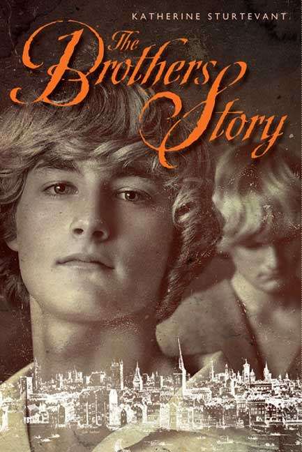 Book cover of The Brothers Story