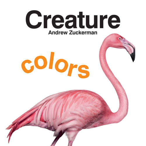 Book cover of Creature Colors