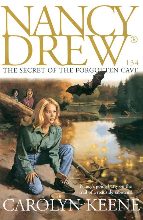 Book cover of The Secret of the Forgotten Cave