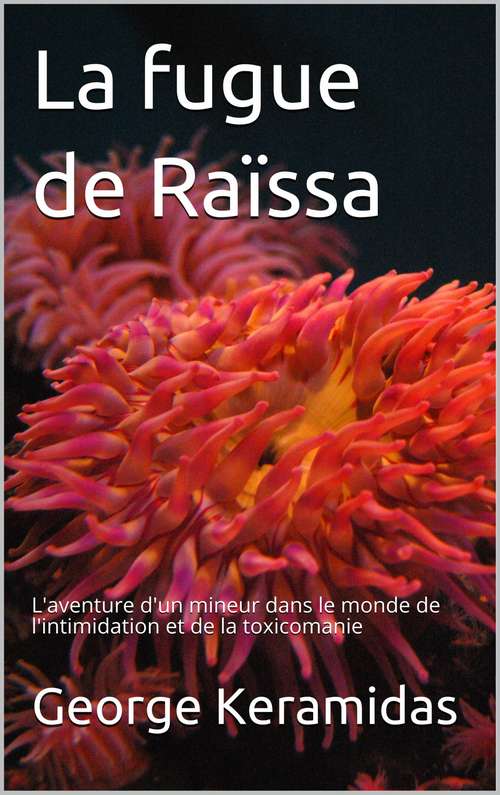 Book cover of La fugue de Raïssa: Pour l'enfant d'à côté et tous les écoliers (Ce livre est le premier d'une série de "déviations scolaires" #1)