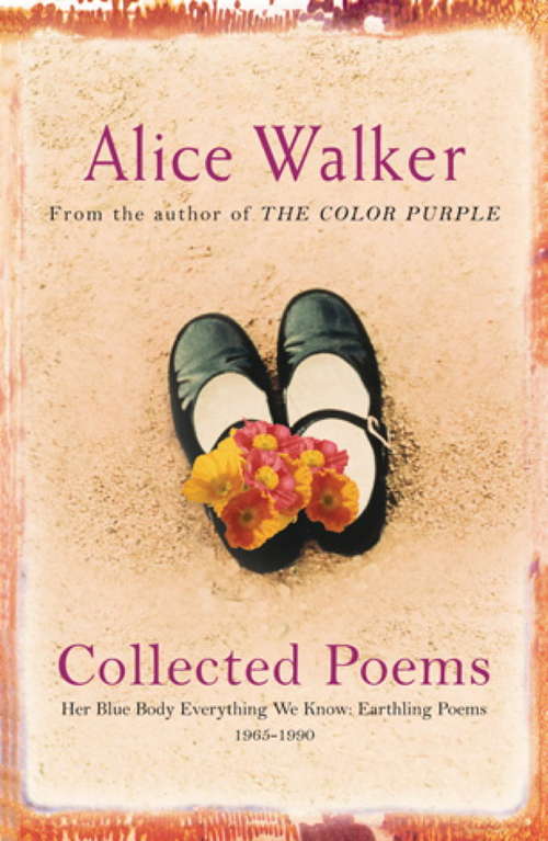 Cover image of Alice Walker