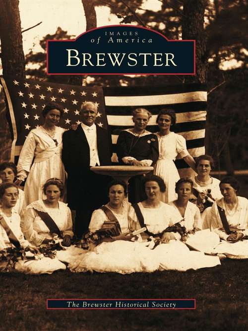 Book cover of Brewster