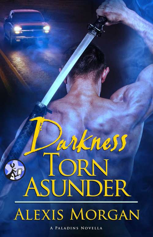 Book cover of Darkness Torn Asunder (The Paladin)