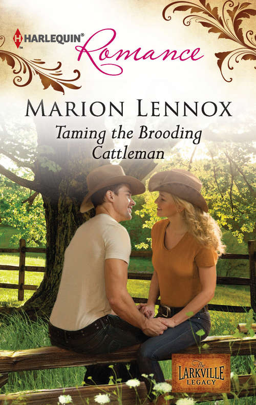 Book cover of Taming the Brooding Cattleman