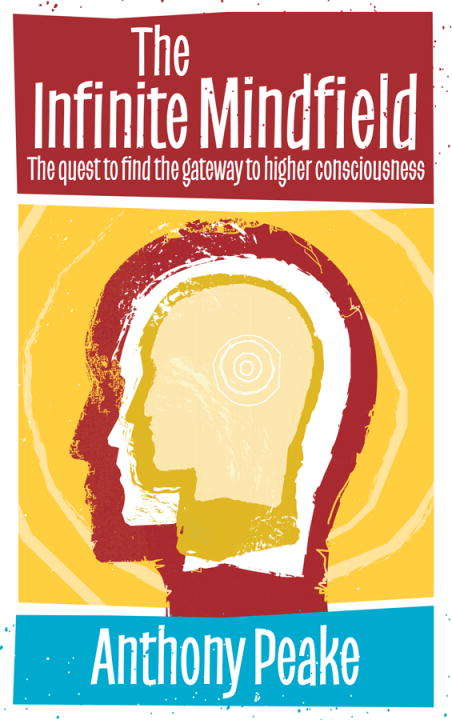 Book cover of Infinite Mindfield