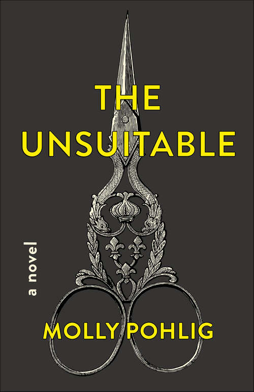 Book cover of The Unsuitable: A Novel