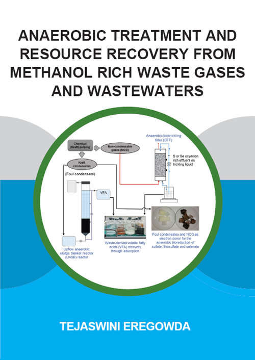 Book cover of Anaerobic Treatment and Resource Recovery from Methanol Rich Waste Gases and Wastewaters (IHE Delft PhD Thesis Series)