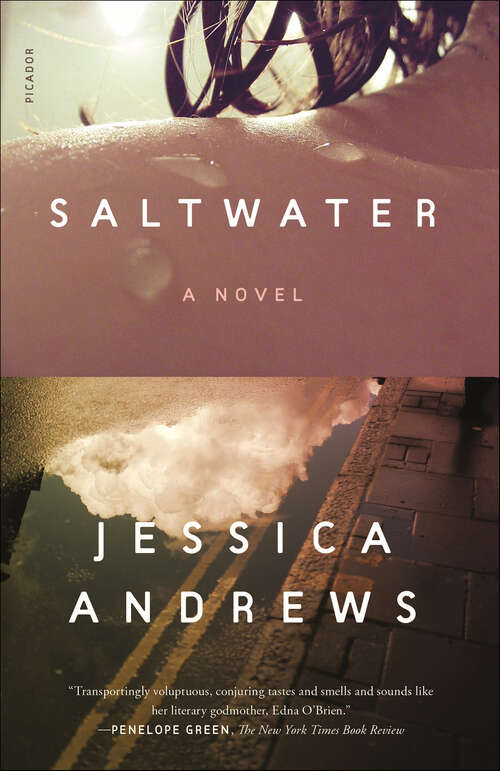 Book cover of Saltwater: A Novel
