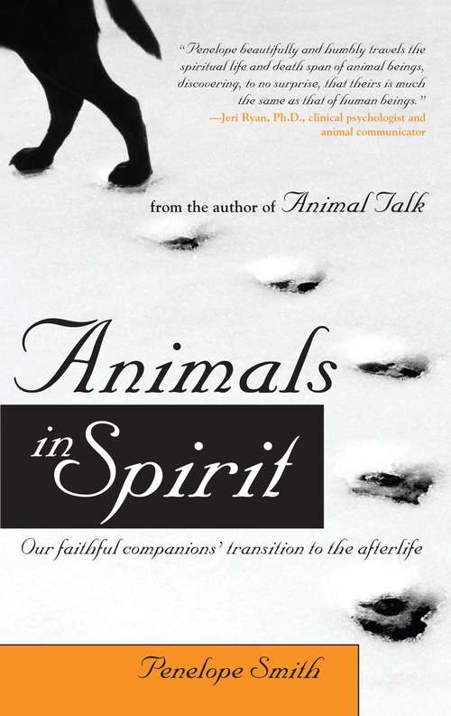 Book cover of Animals in Spirit