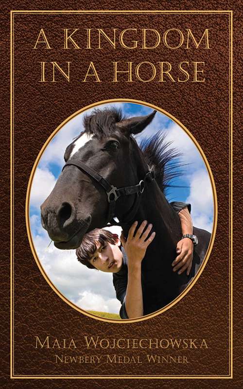 Book cover of A Kingdom in a Horse