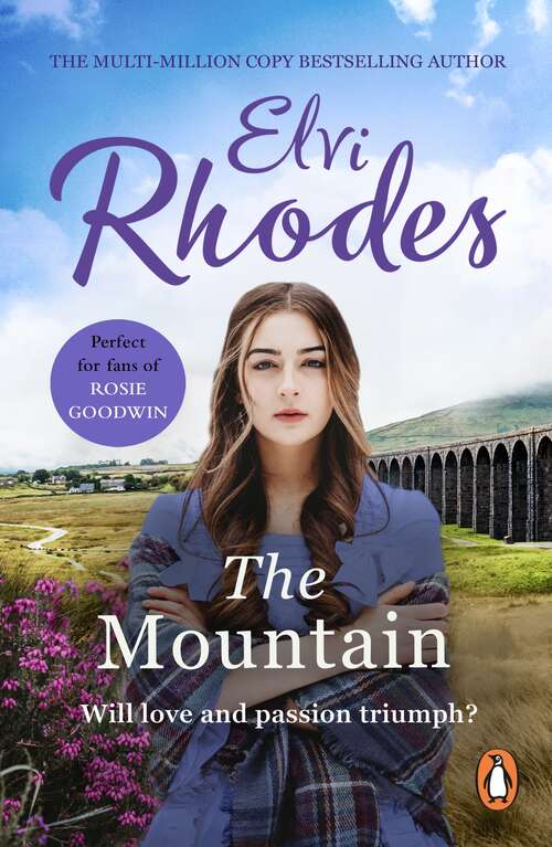 Book cover of The Mountain: An emotional saga of fierce passions you won’t want to put down…