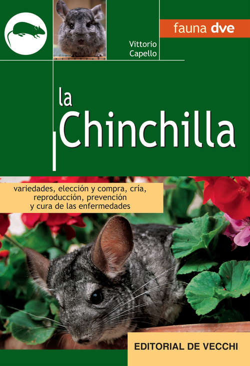 Book cover of La Chinchilla