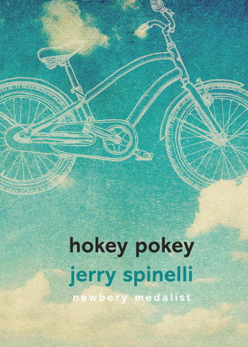 Book cover of Hokey Pokey