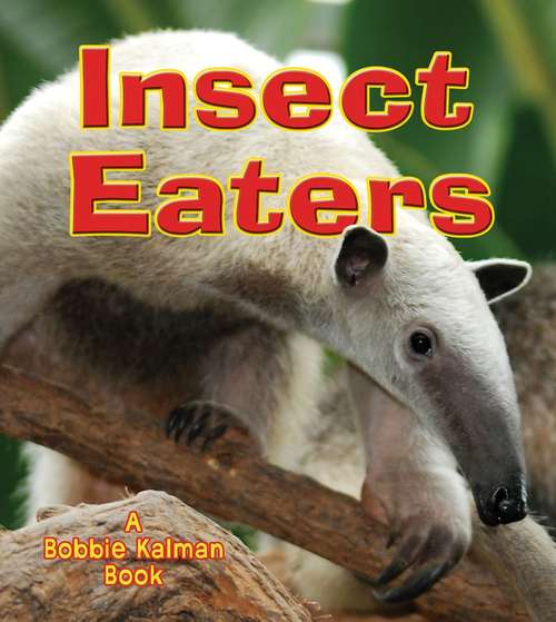 Book cover of Insect Eaters (Big Science Ideas)