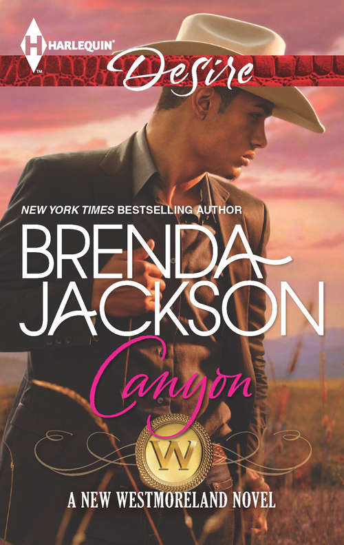 Book cover of Canyon