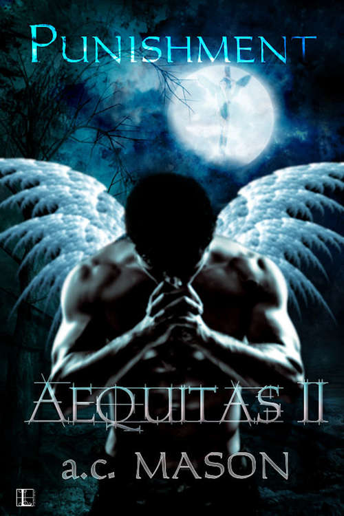 Book cover of Aequitas: Punishment