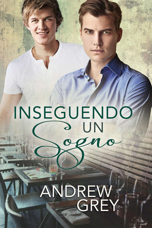 Book cover of Inseguendo un sogno