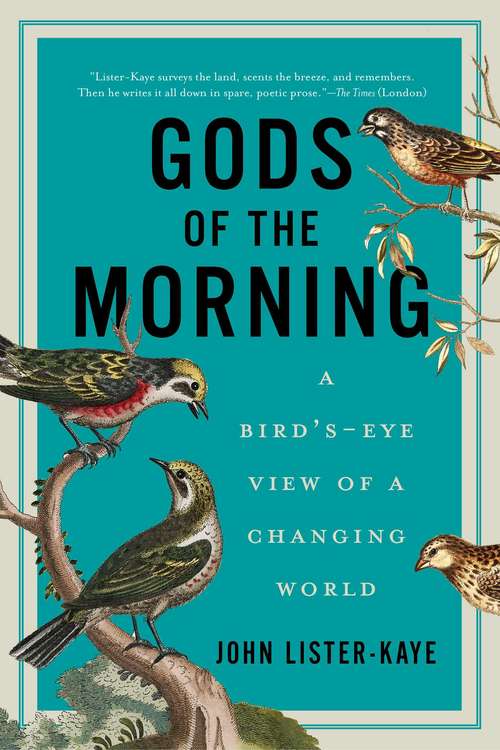 Book cover of Gods of the Morning: A Bird's-Eye View of a Changing World