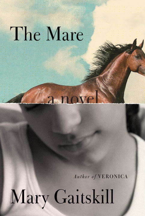 Book cover of The Mare