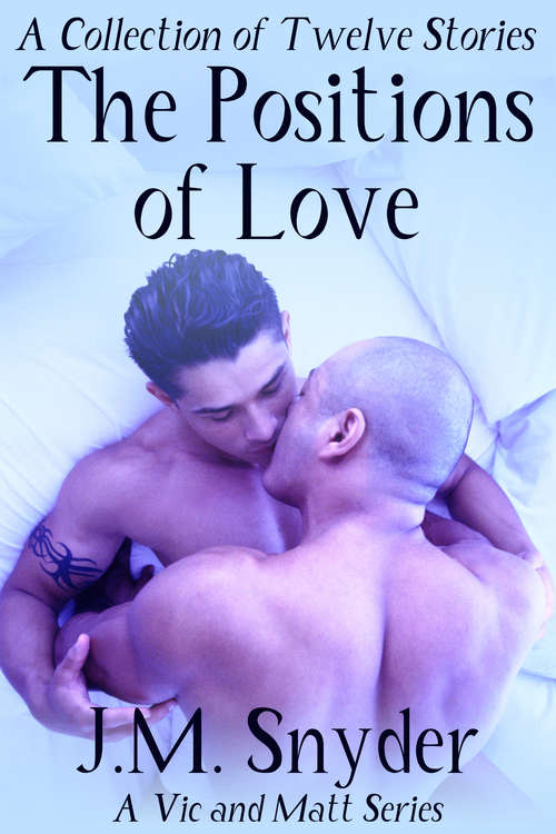 Book cover of The Positions of Love Box Set (Vic and Matt #4)