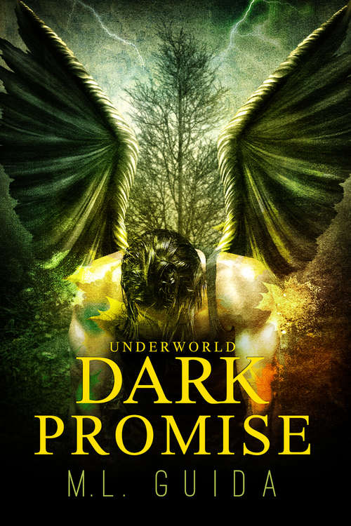 Book cover of Dark Promise