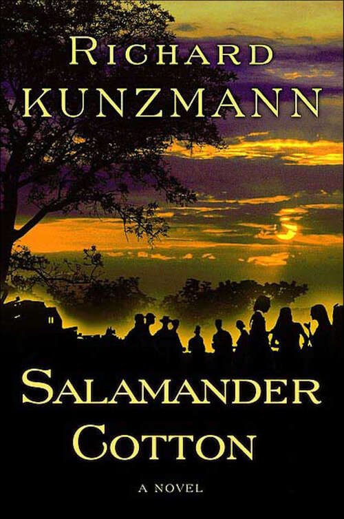 Book cover of Salamander Cotton: A Novel (Jacob Tshabalala)