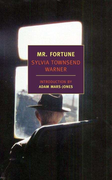 Book cover of Mr. Fortune's Maggot