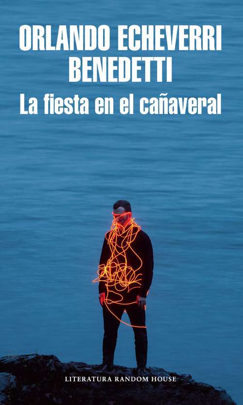 Book cover of La fiesta en el cañaveral