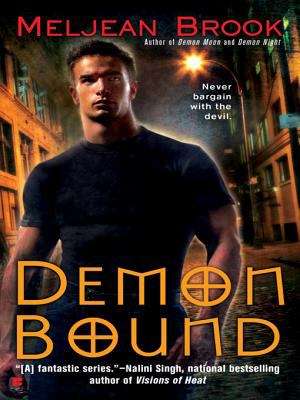 Book cover of Demon Bound (Guardian Series #4)