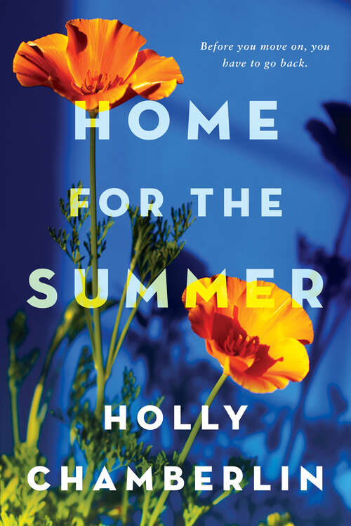 Book cover of Home for the Summer