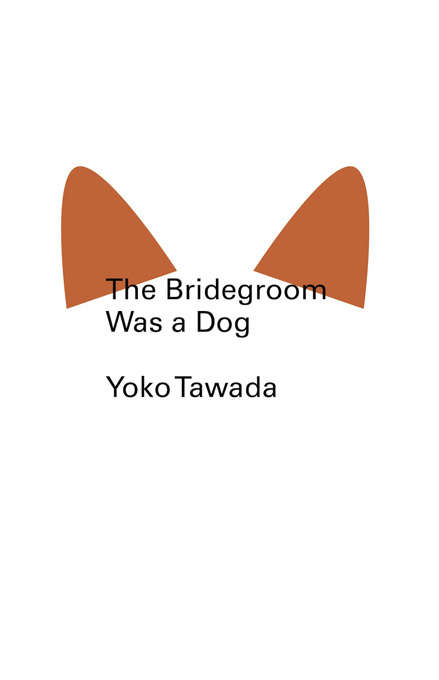 Book cover of The Bridegroom Was a Dog