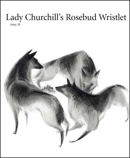 Book cover of Lady Churchill's Rosebud Wristlet No. 28