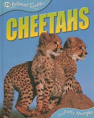 Cheetahs (Animal Lives Series)