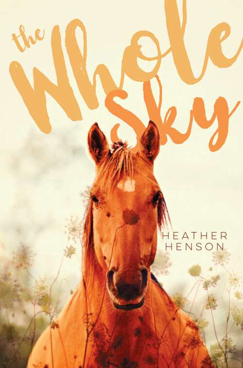 Book cover of The Whole Sky