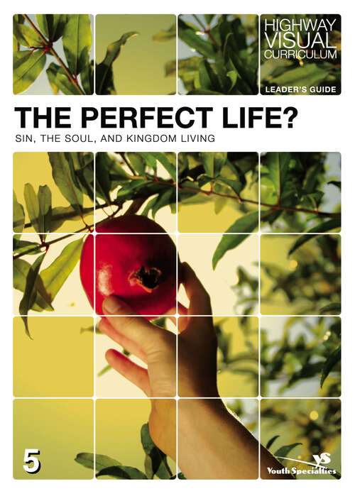 Book cover of The Perfect Life? Leader's Guide (Highway Visual Curriculum)