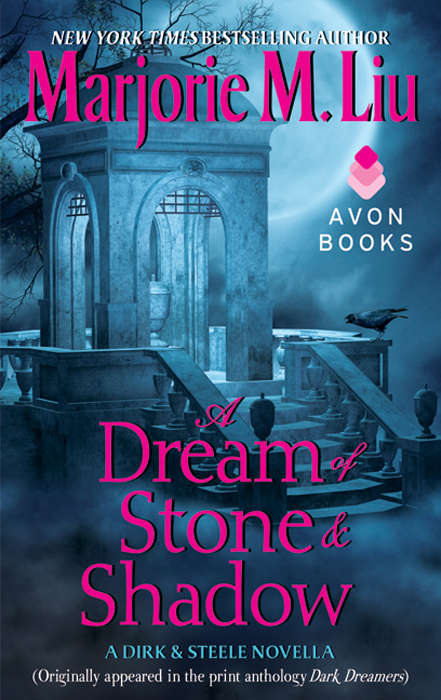 Book cover of A Dream of Stone & Shadow