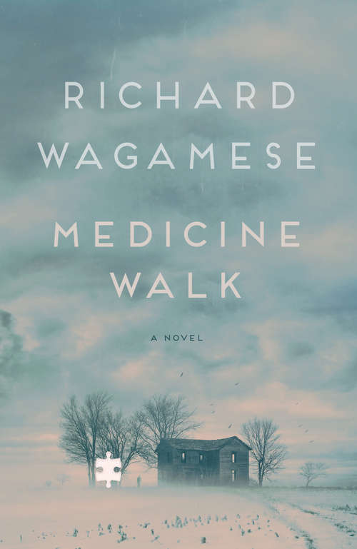 Book cover of Medicine Walk