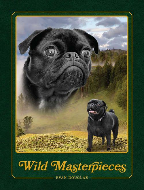 Book cover of Wild Masterpieces: (animal Portraits Nature Monthly Calendar, 12-month Calendar Of Pets In Natural Landscapes)