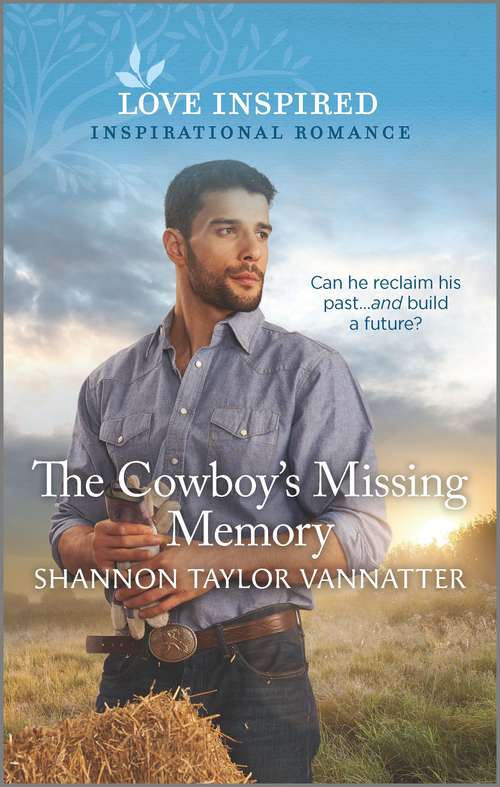 The Cowboy's Missing Memory (Hill Country Cowboys #2)