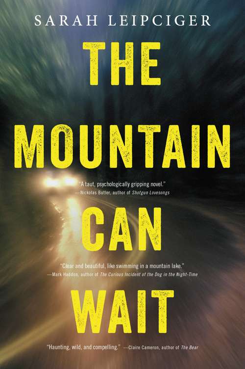 Book cover of The Mountain Can Wait