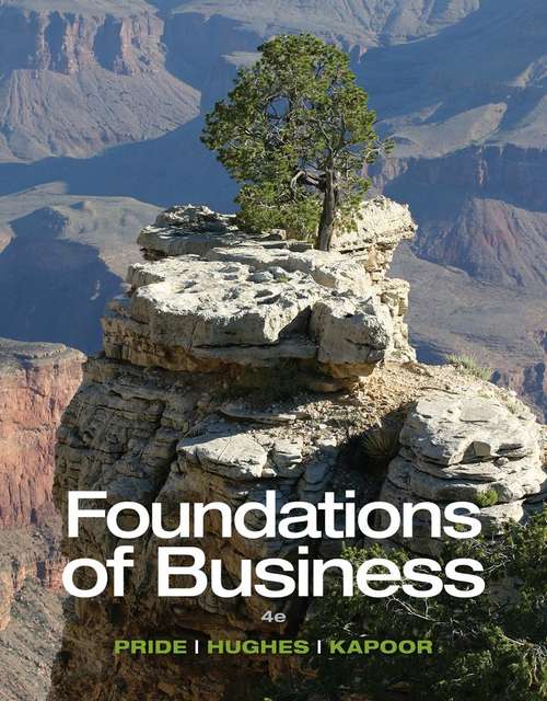 Foundations of Business (Fourth Edition)