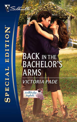 Book cover of Back in the Bachelor's Arms