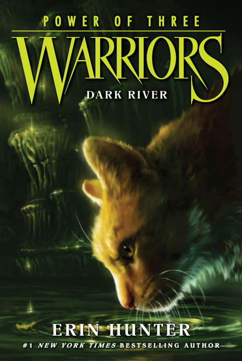 Book cover of Warriors: Power of Three #2: Dark River