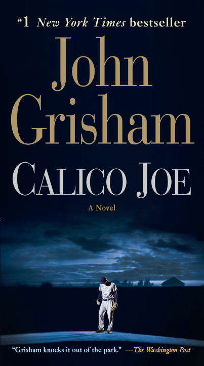 Book cover of Calico Joe