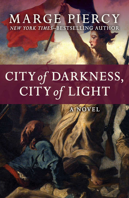 City of Darkness, City of Light: A Novel